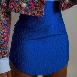 Zara High-Waisted Textured Mini Skirt (size M) NWT